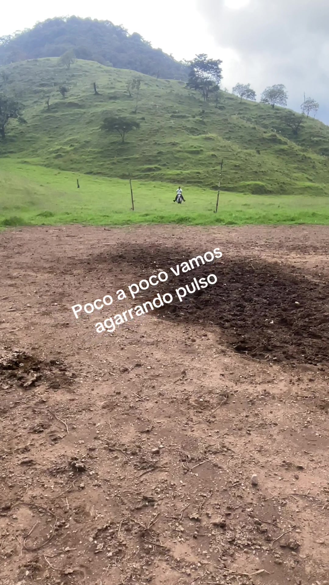 @Jairo
