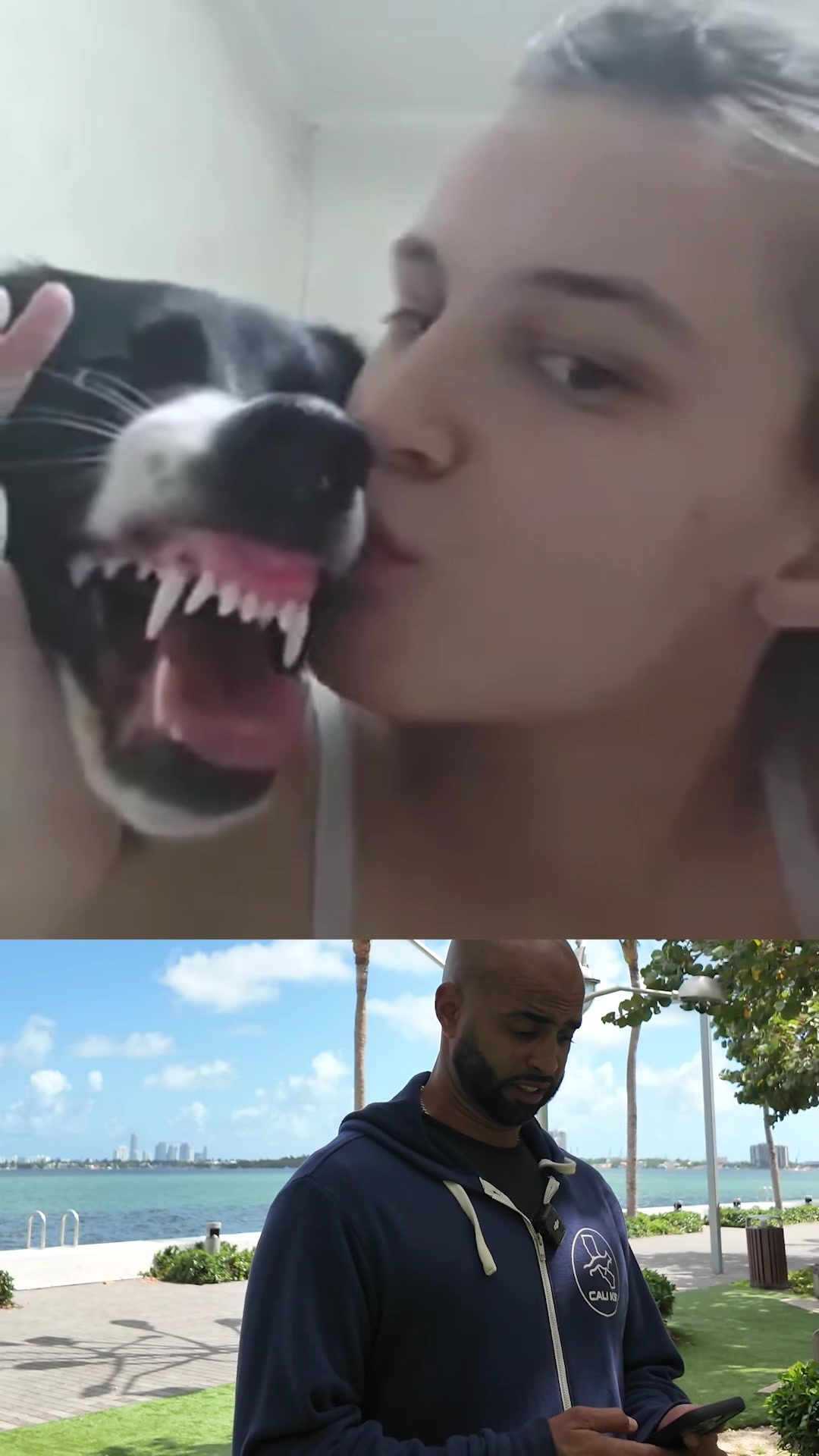 @Cali K9
