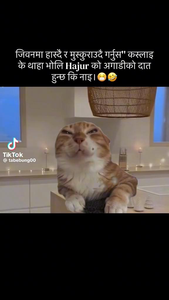 @babitabhattrai945