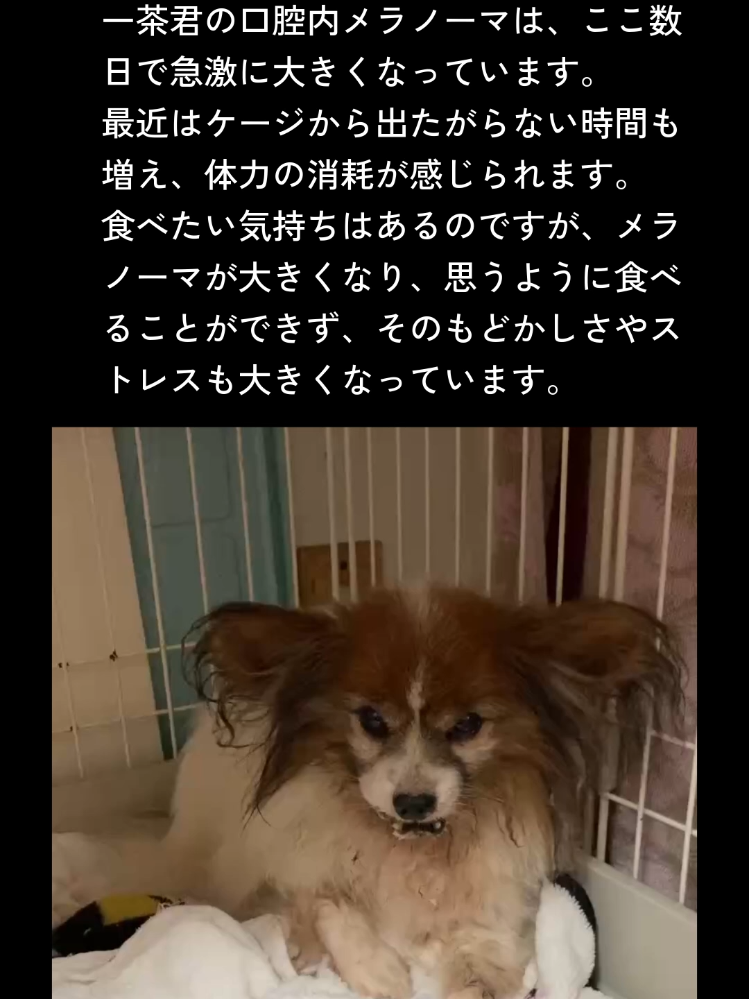 @NPO法人エターナル・ホーム