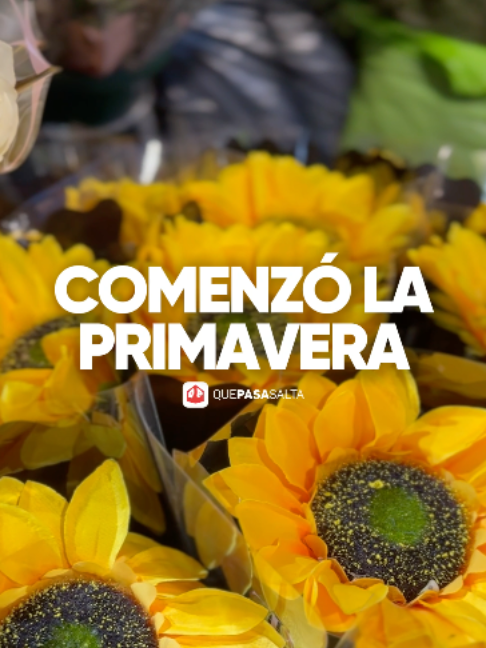 @Que Pasa Salta