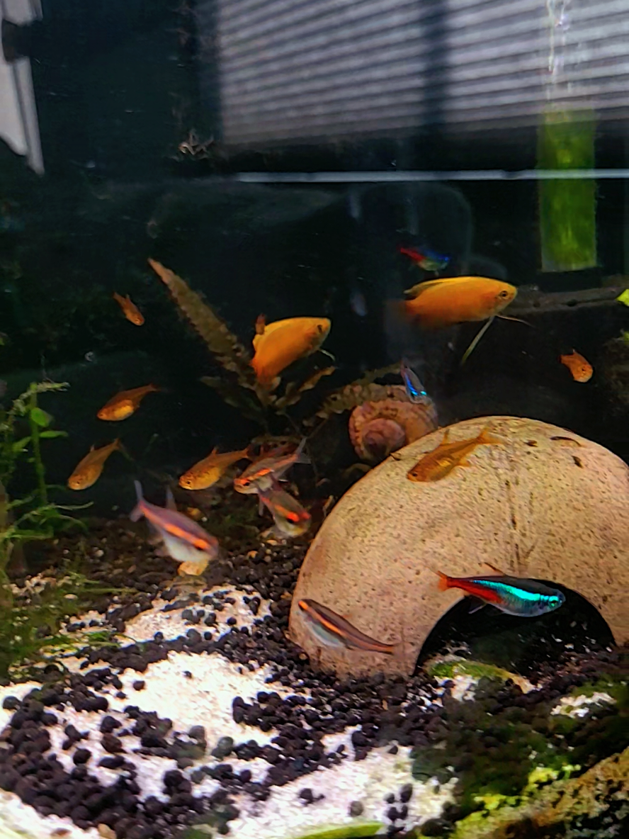 @🐌 AquaGirl ~ Here Fishy Fishy