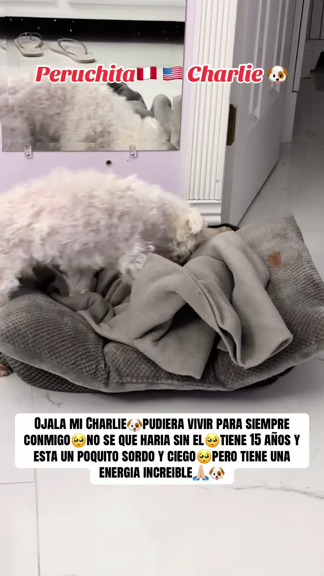 @@JPerez