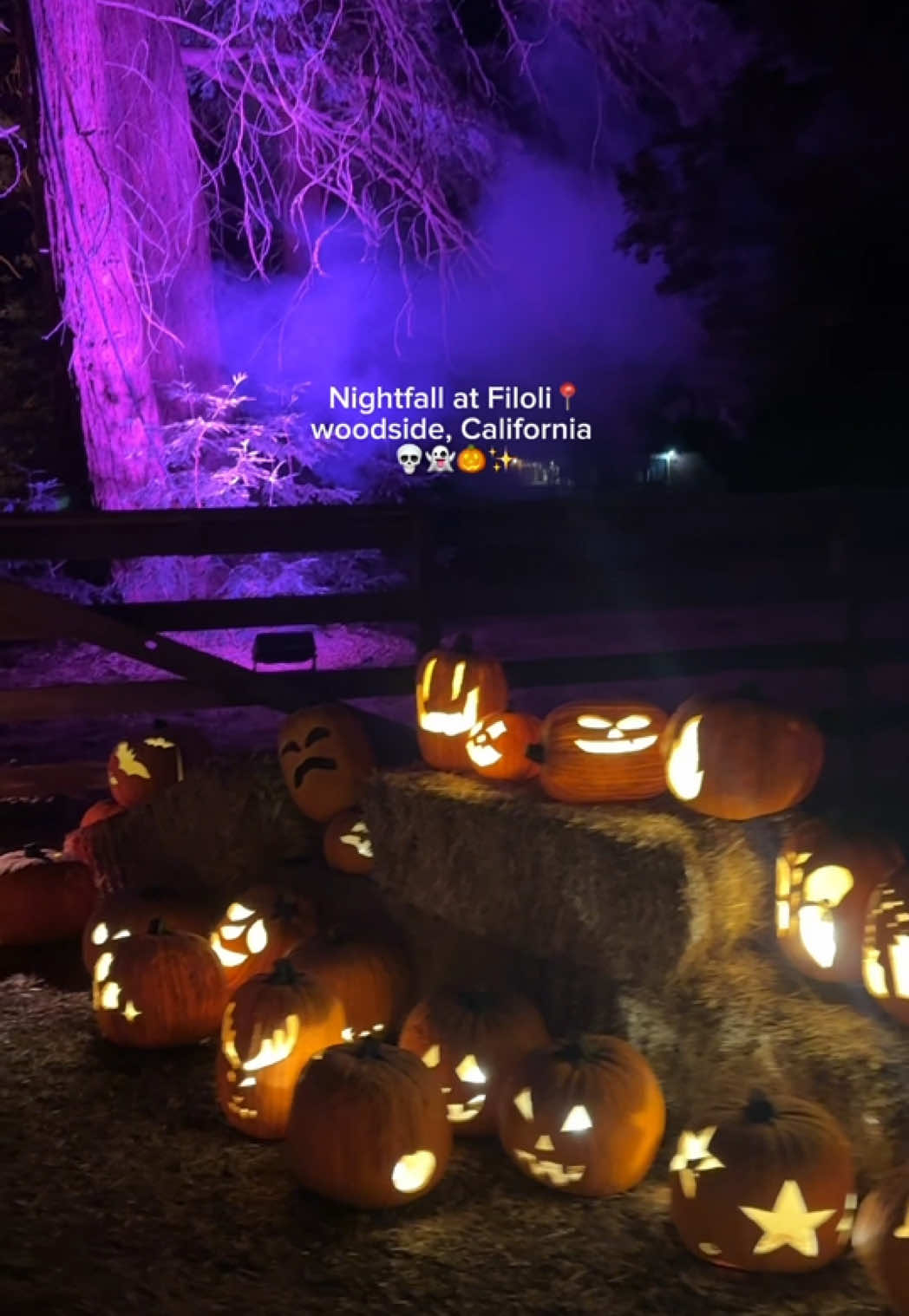 @Afty🍂🧸