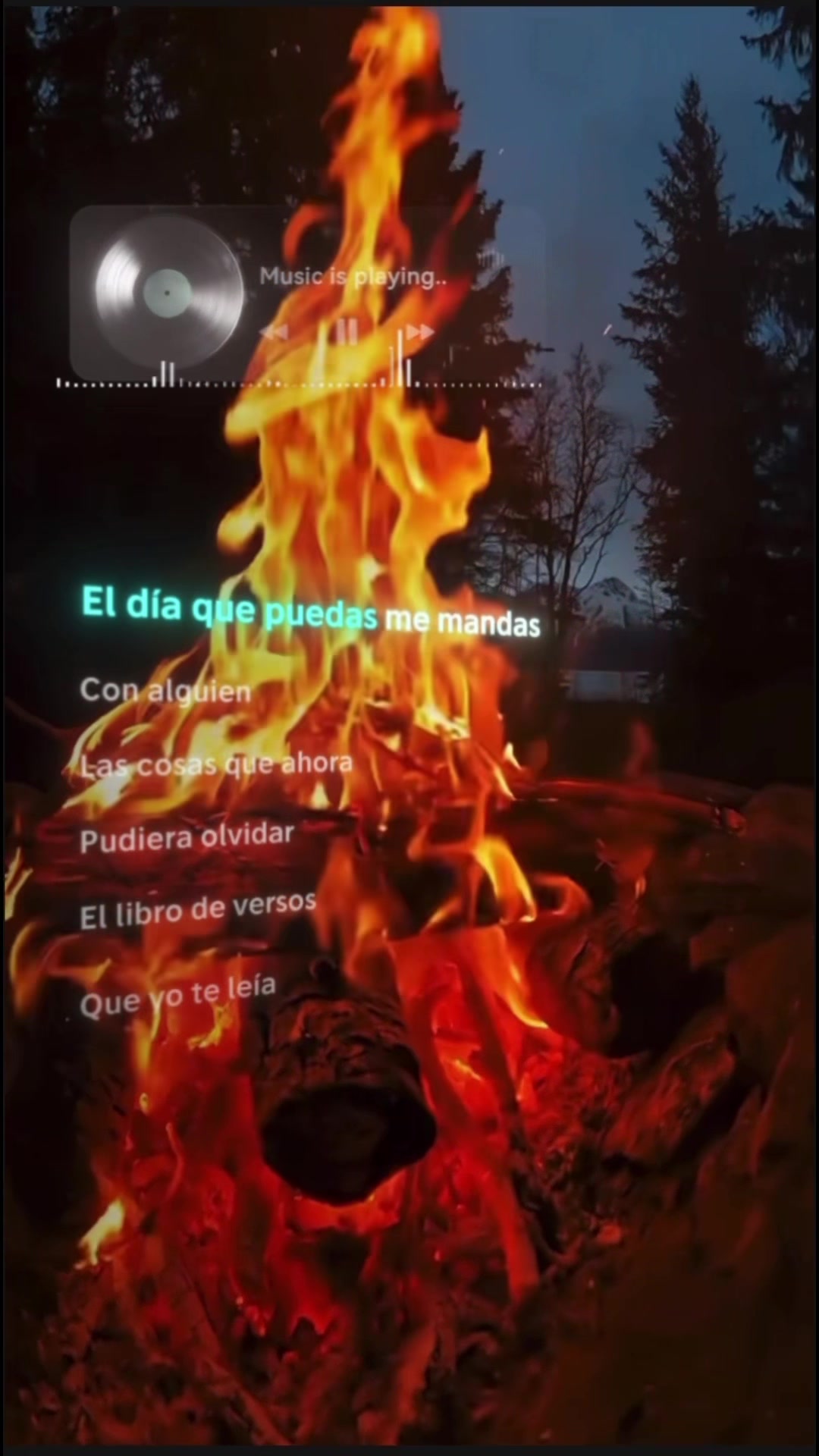 @frasesymusica