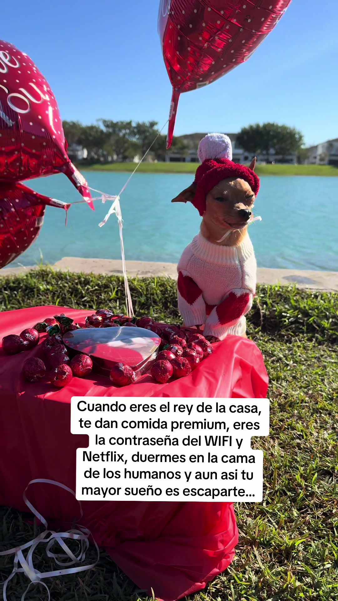 @Gloria Hernandez