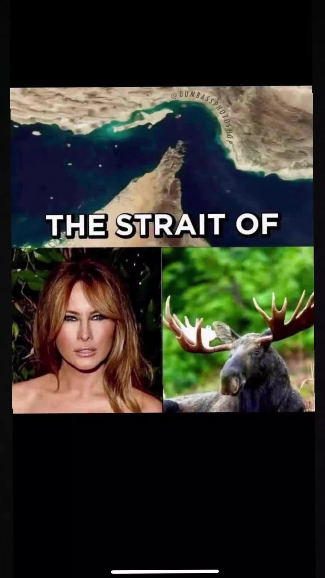 @🇨🇦 Vicki_Vents 🇺🇸