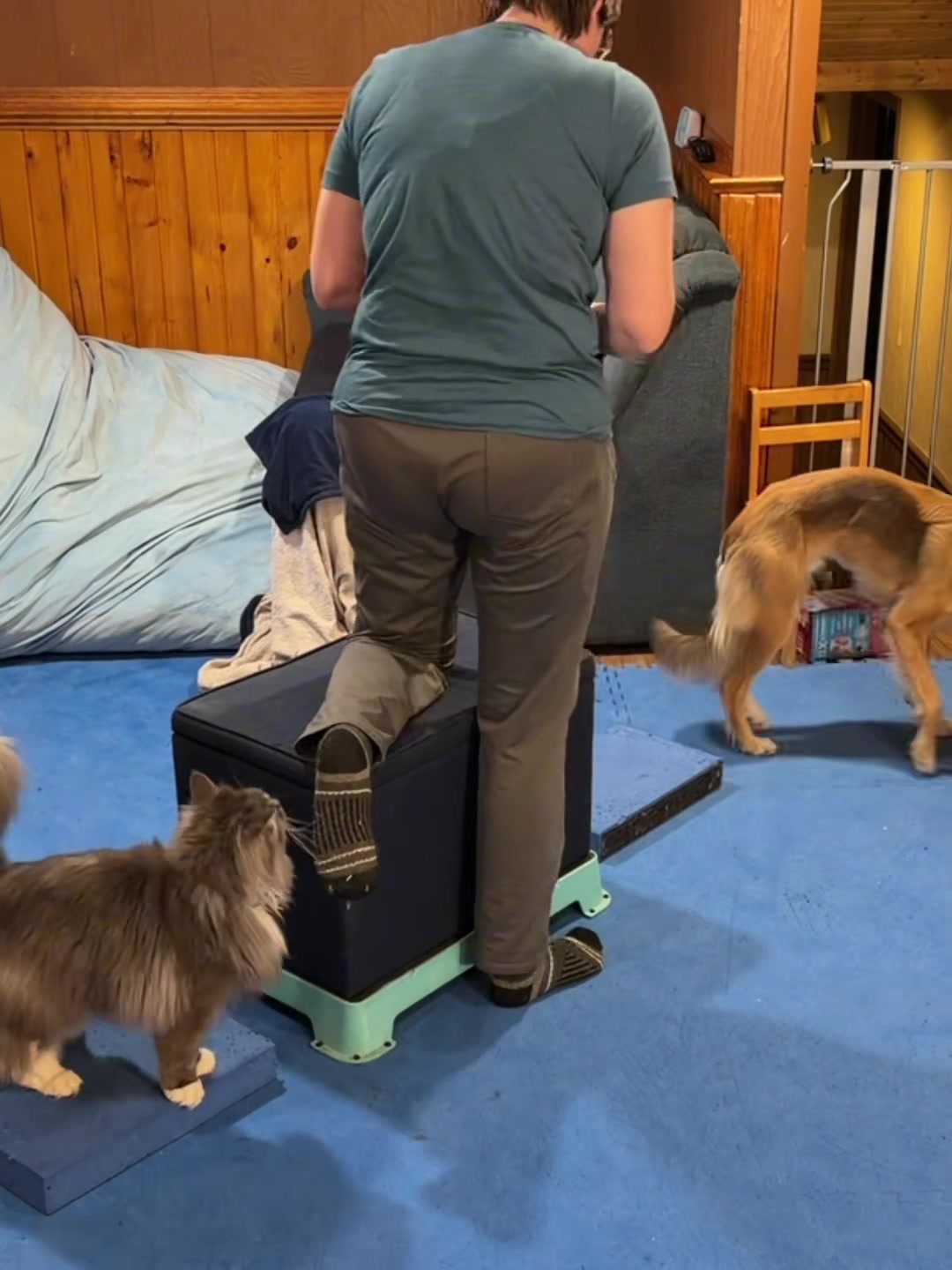 @Laura Waudby - Dog Sports