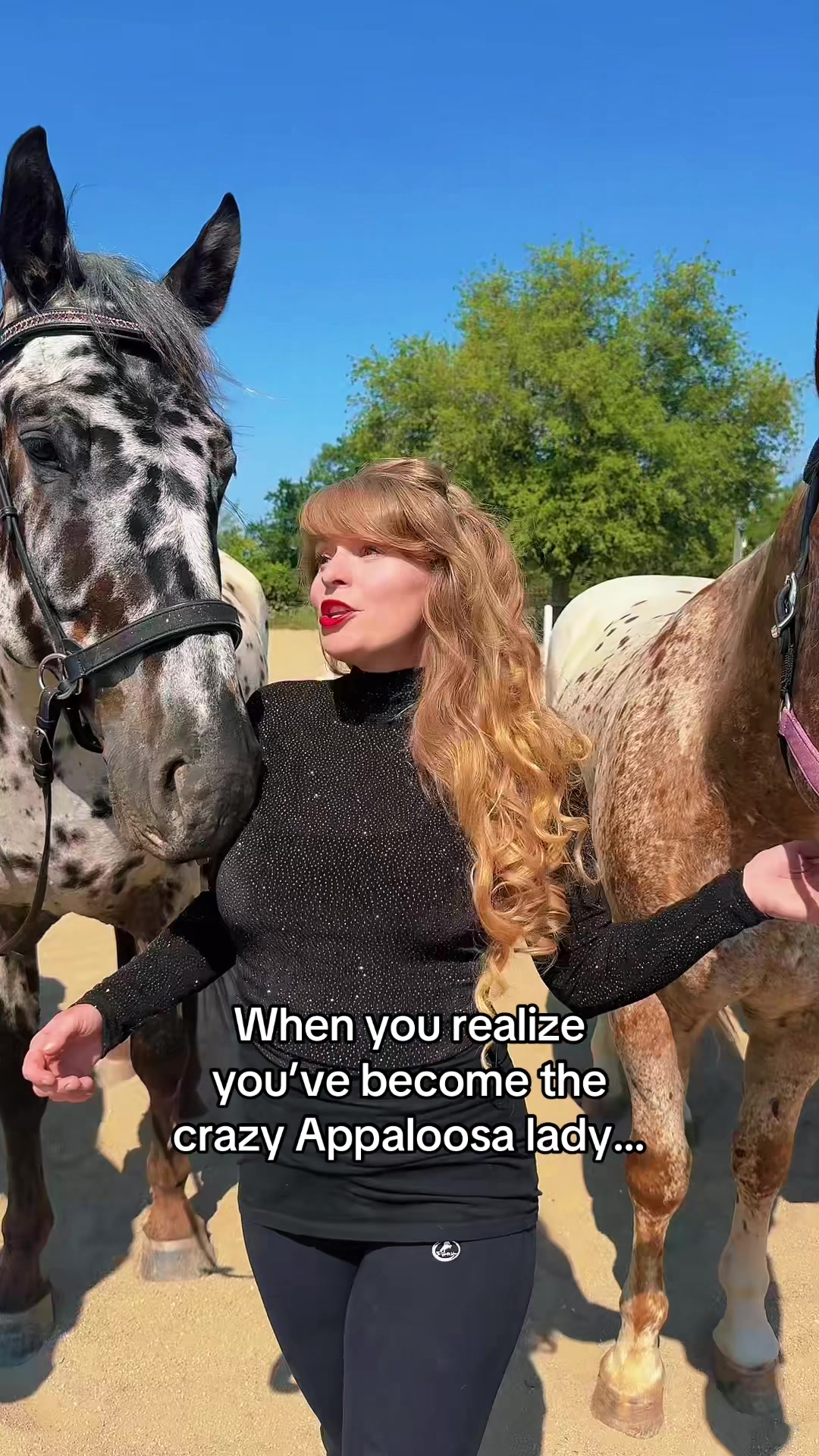 @Free Spirit Equestrian