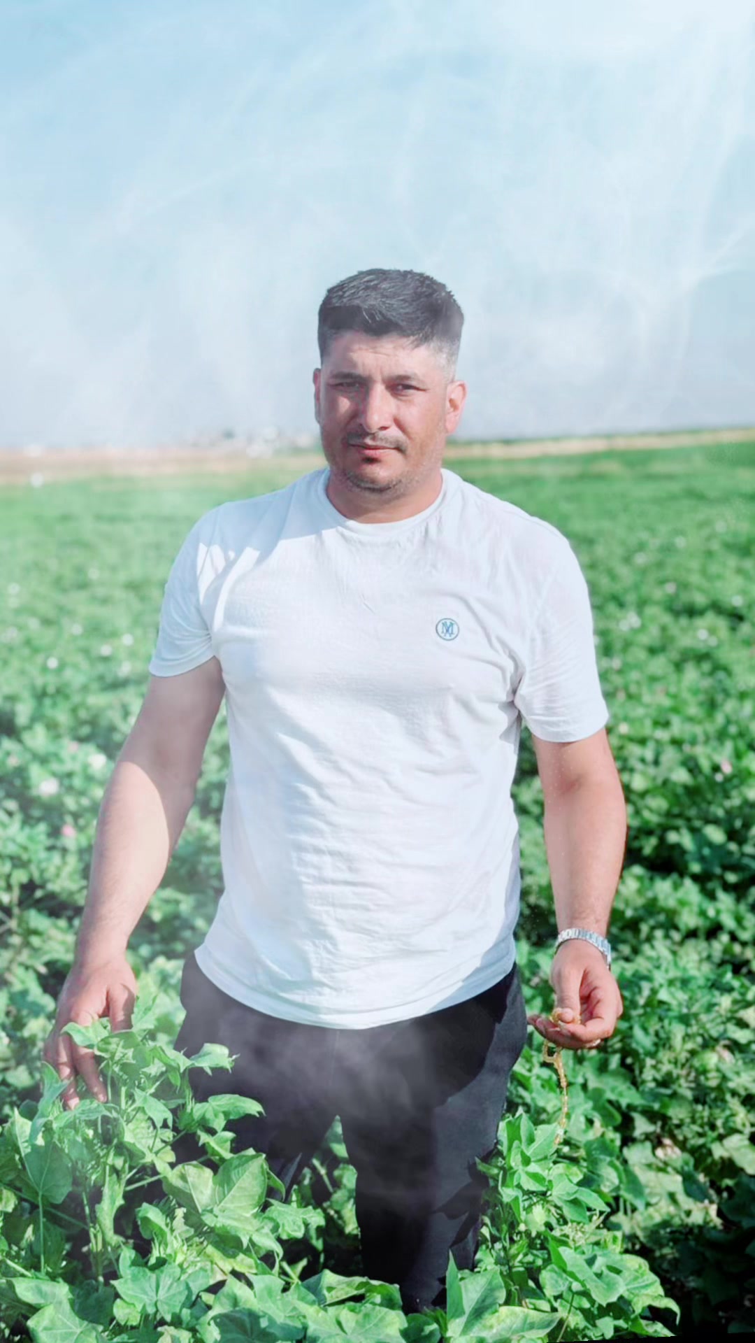 @Salih Yavuz