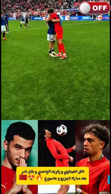 @Meknassi