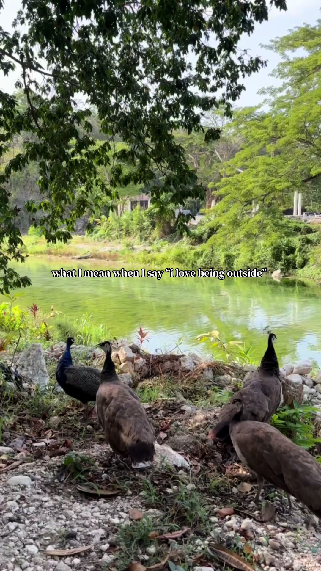 @LYNN AKU