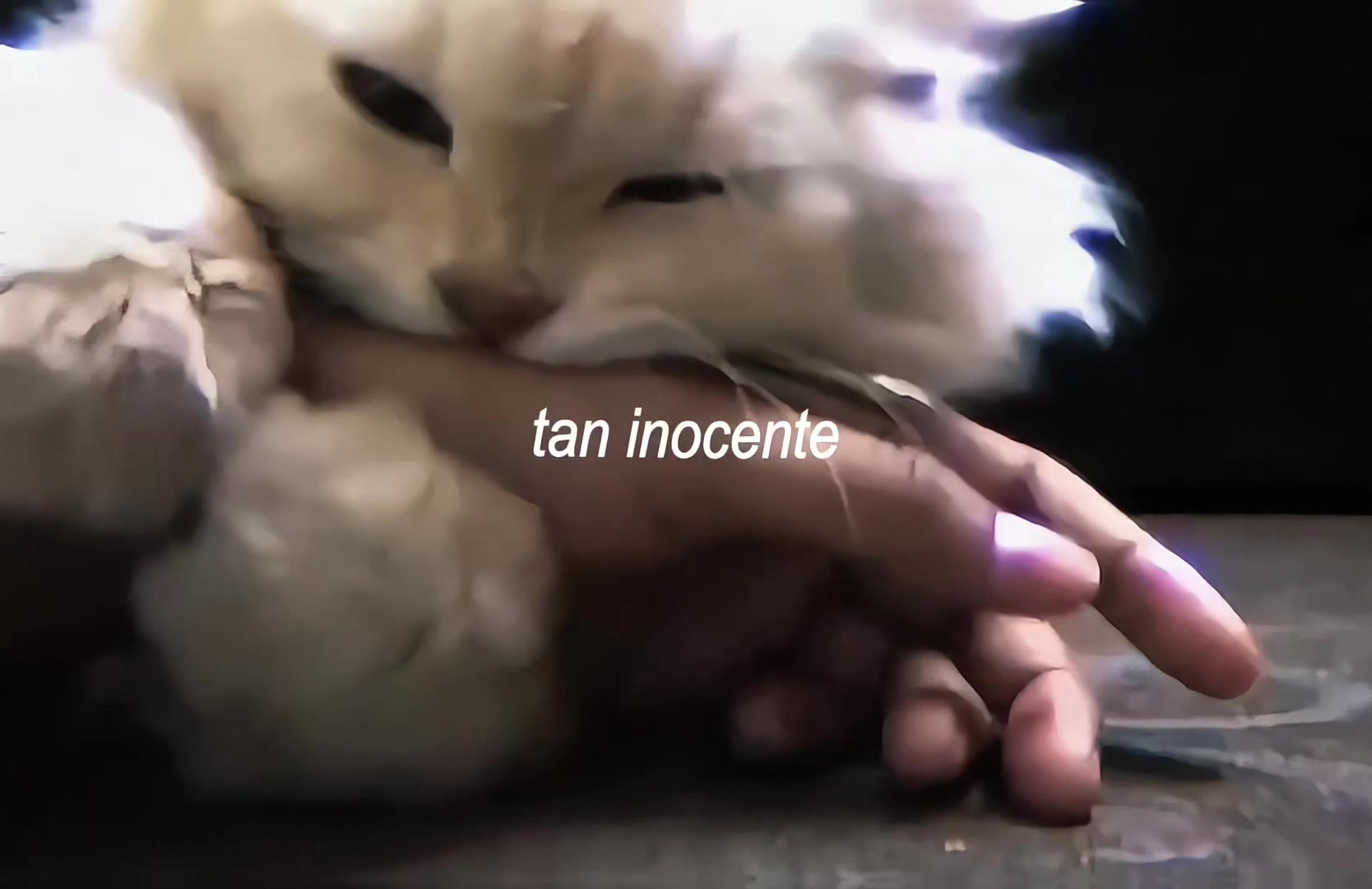 @𝕹𝖎𝖑𝖆_𝖑𝖕