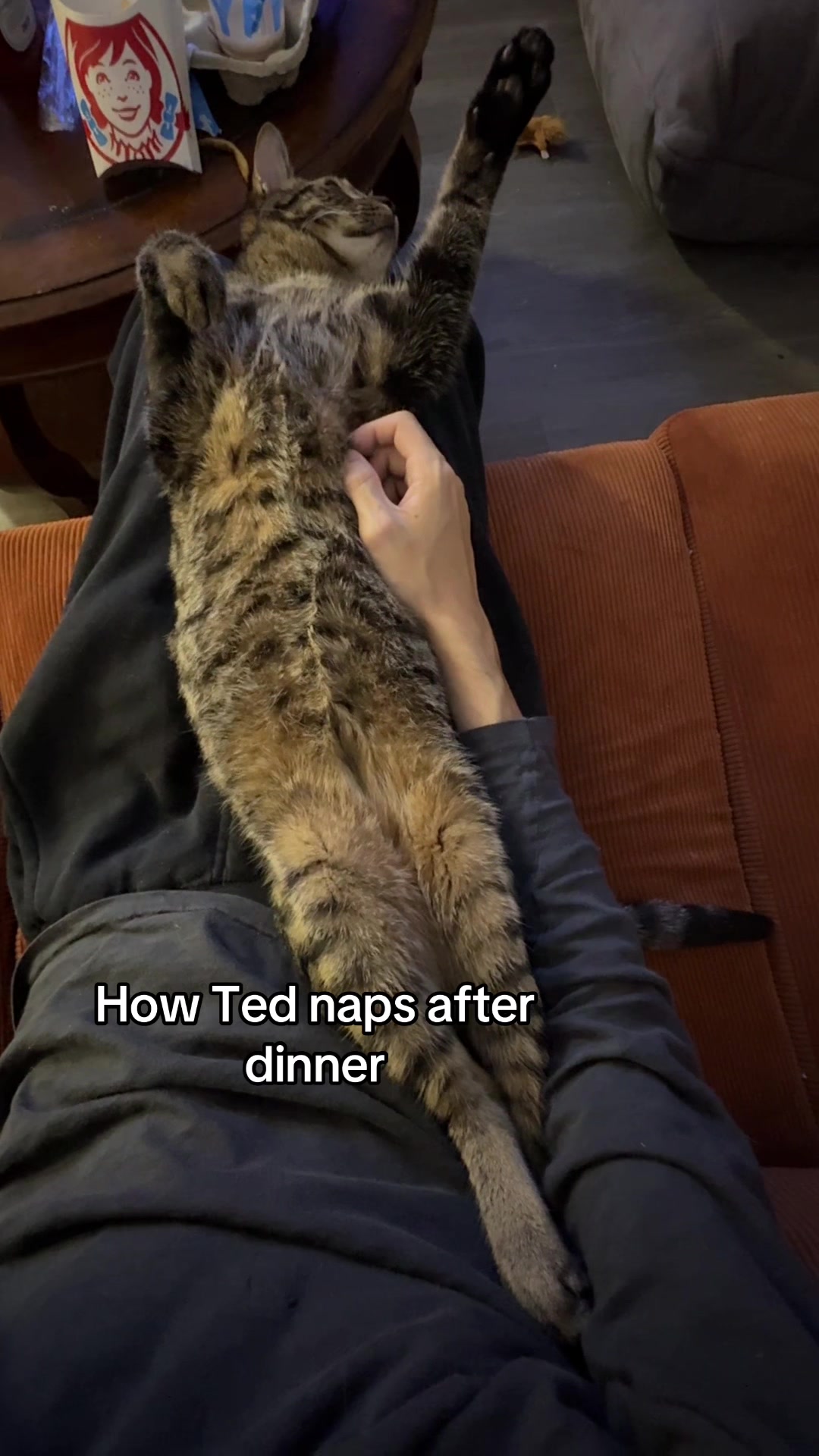 @Quinn The Calico