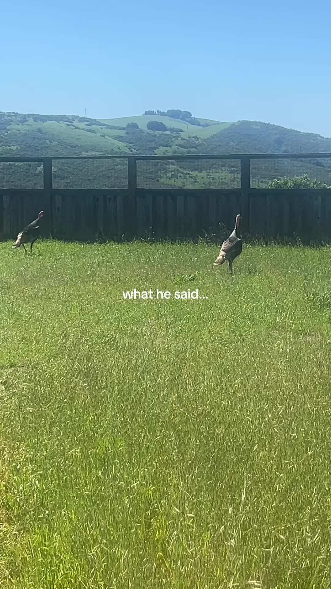 @Mel