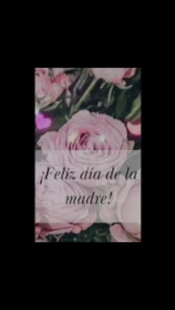 @nancycamacho687