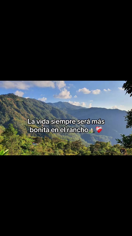 @El YEYITO 🤠👈🍋