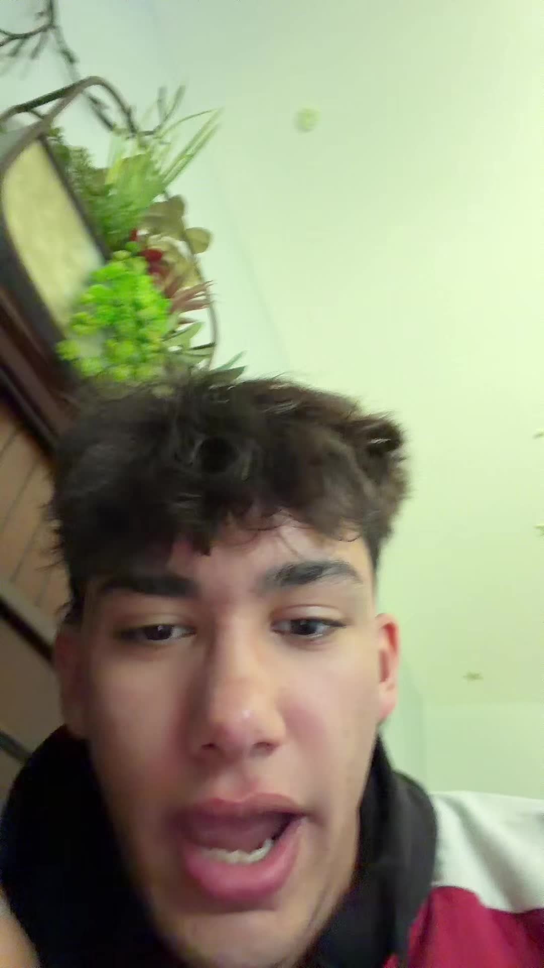 @jaydon