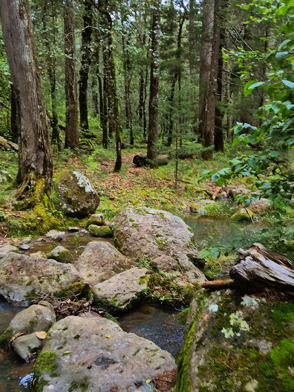 @Black Sheep Trail