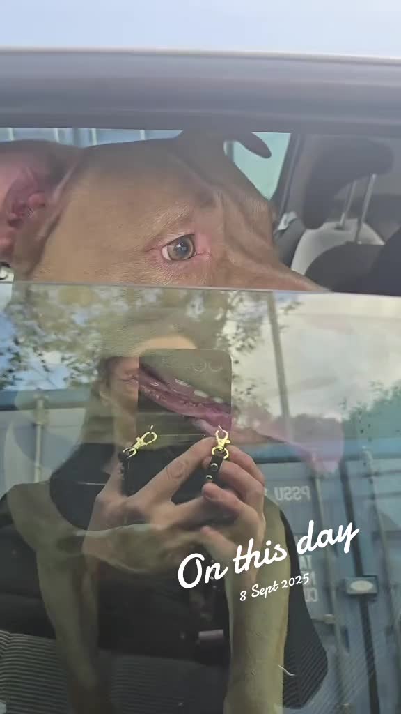 @limp