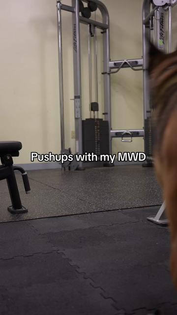@Emily