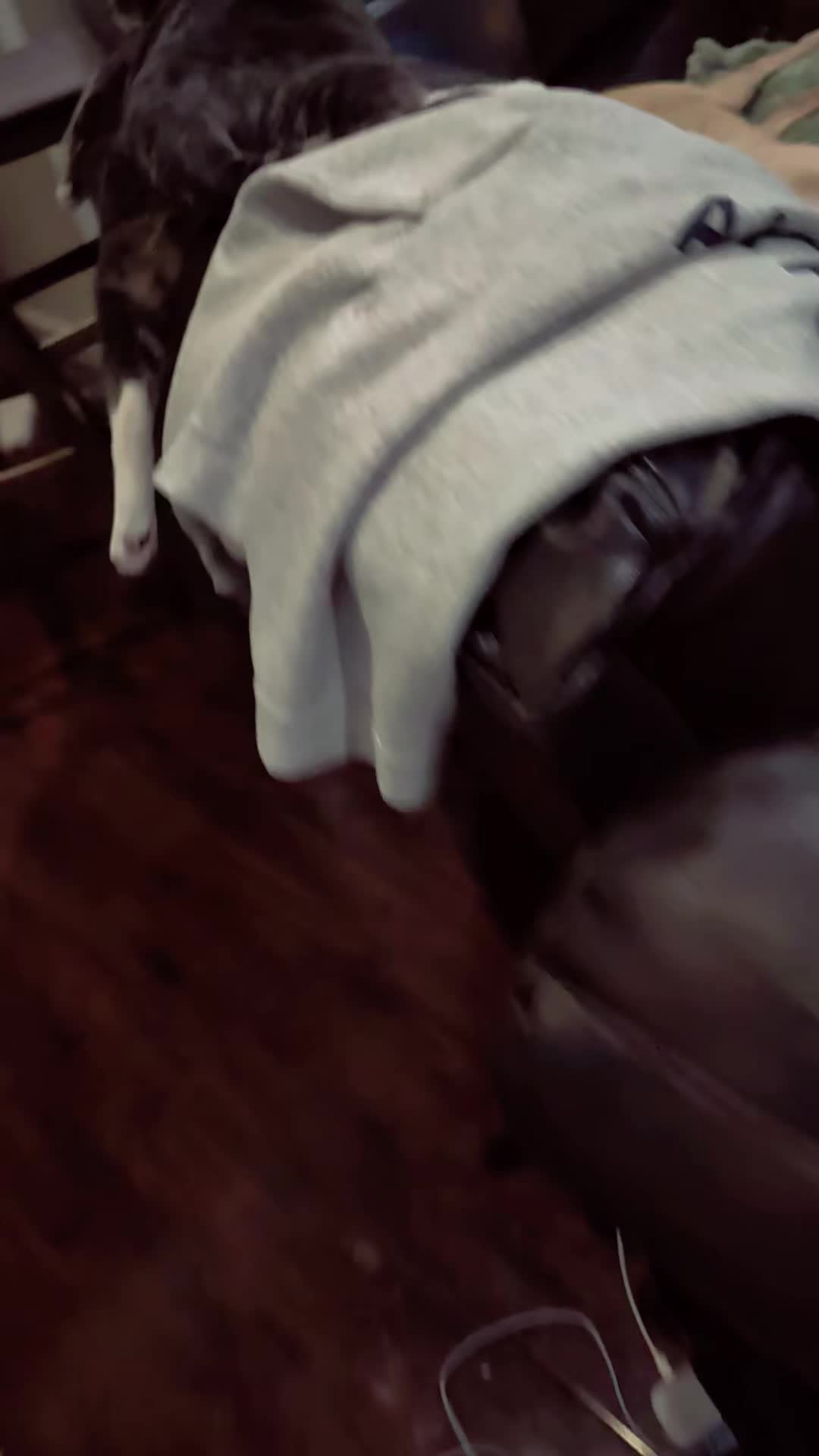 @BuffyTheKittenSpayer
