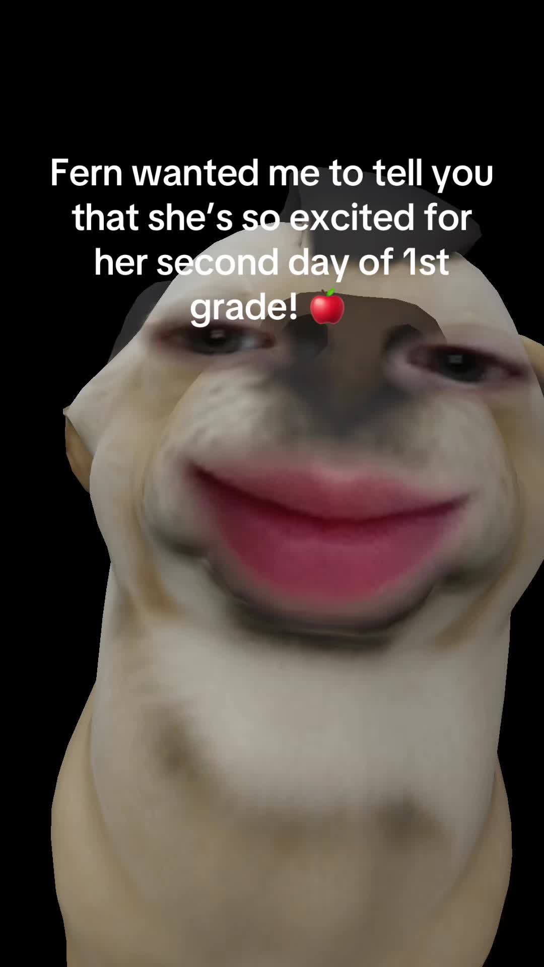 @Tara