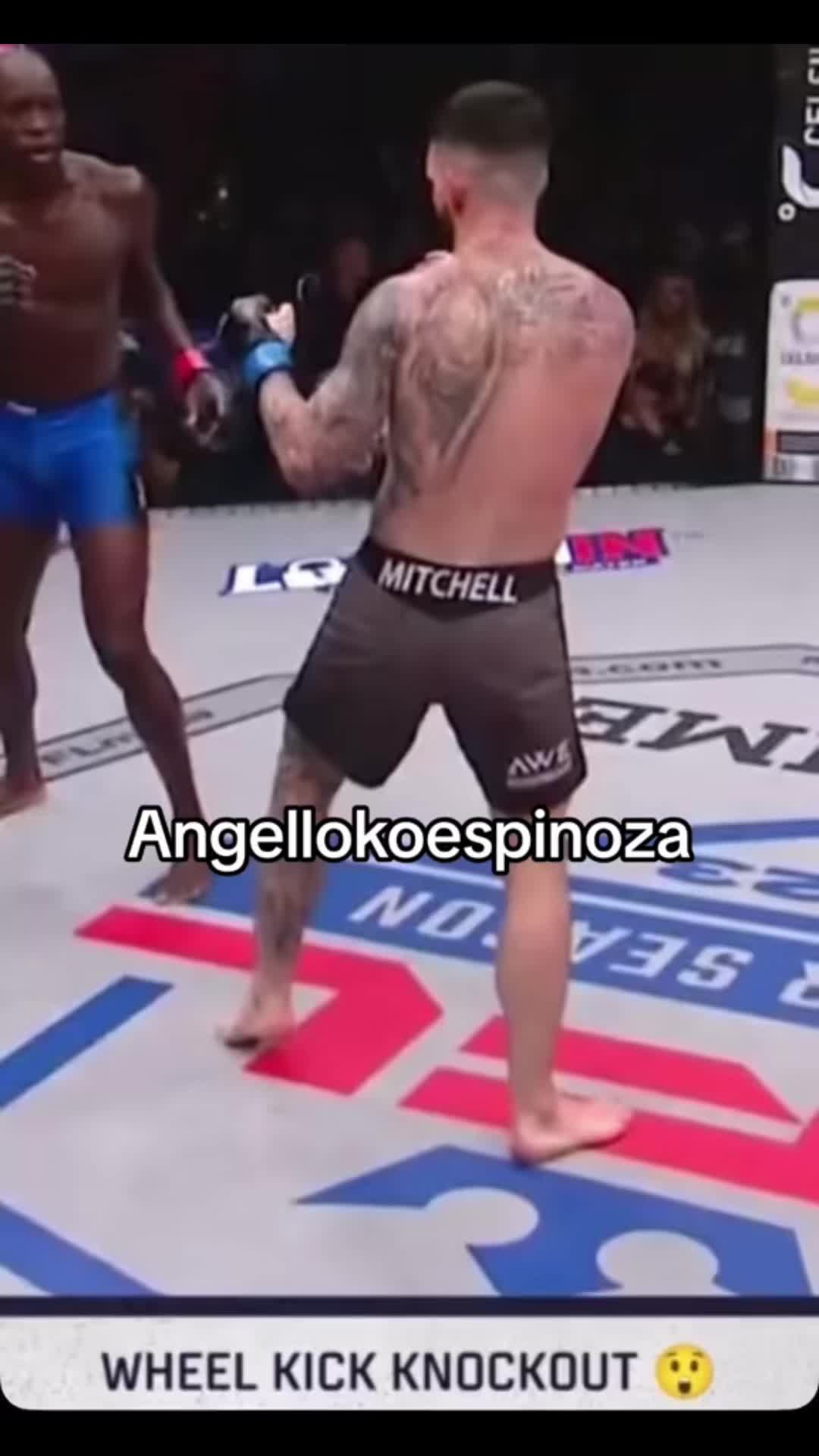 @Angellokoespinoza1
