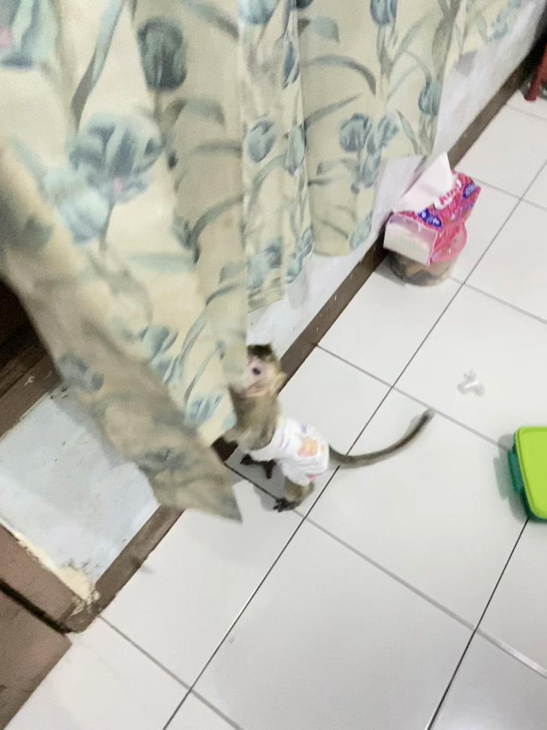 @Michelle🐒