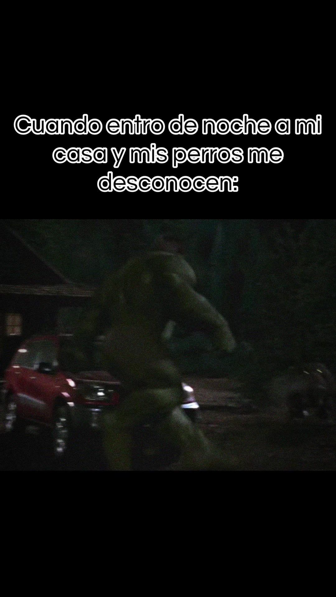 @Jonhan DZ 🦖