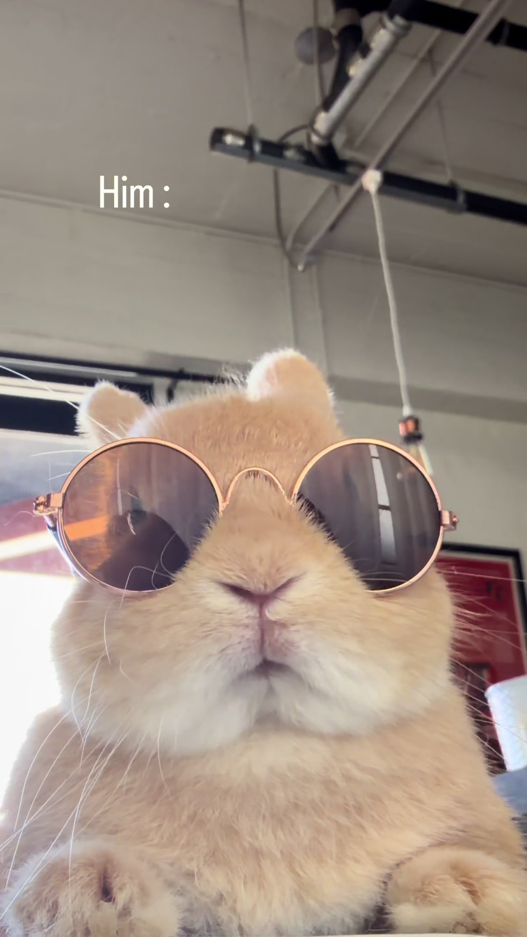 @Bunnydayoff