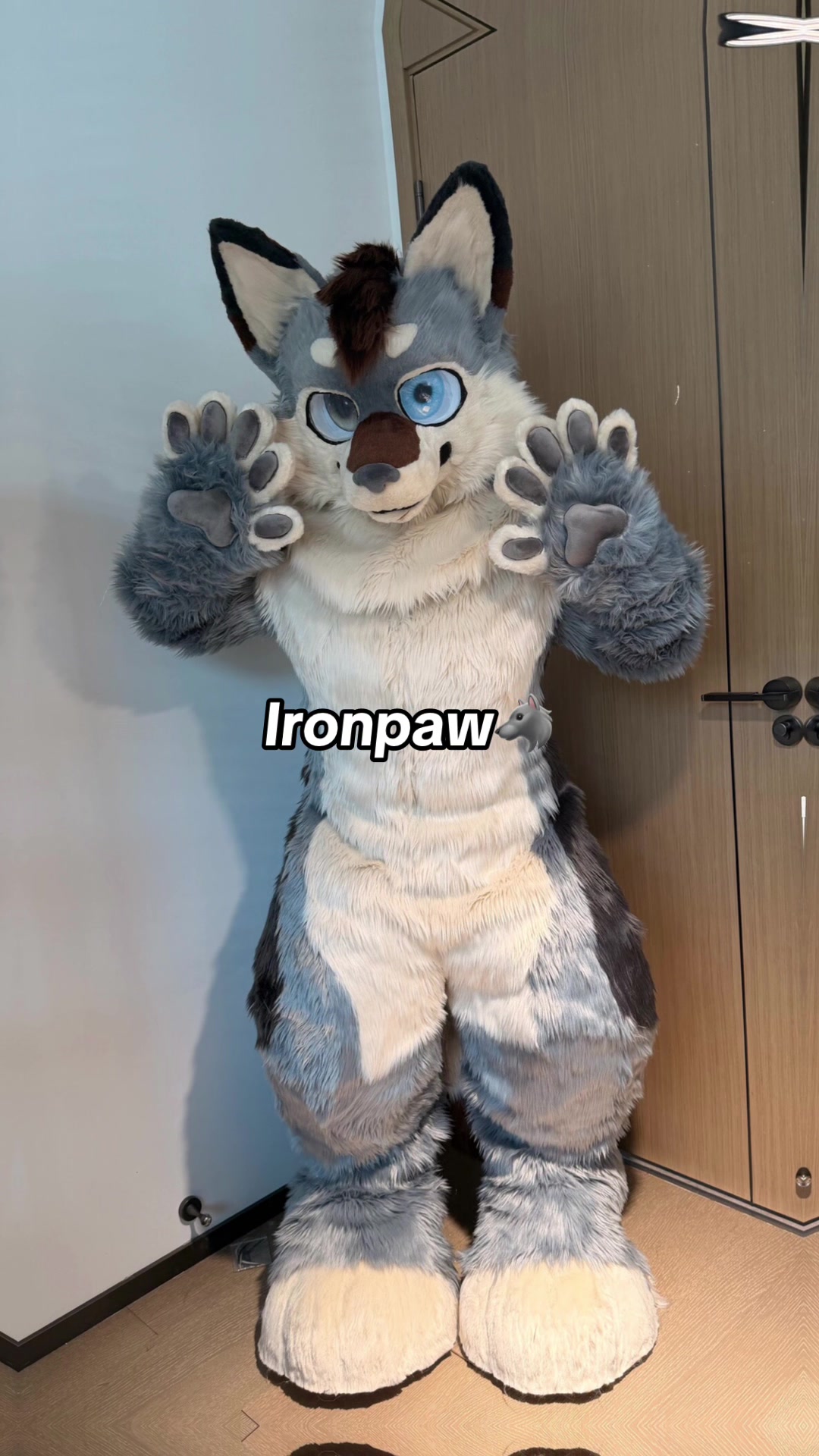 @DokiiFurry232