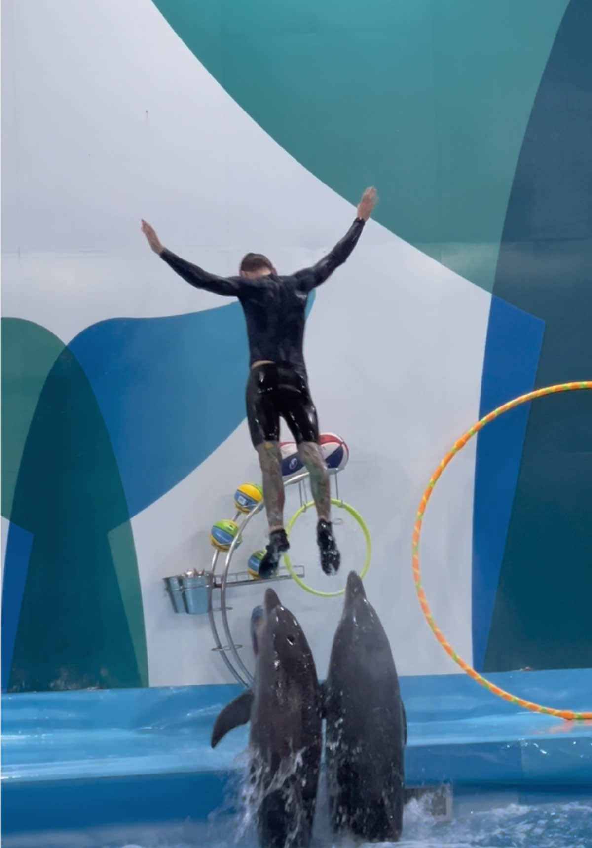 @Pattaya Dolphinarium