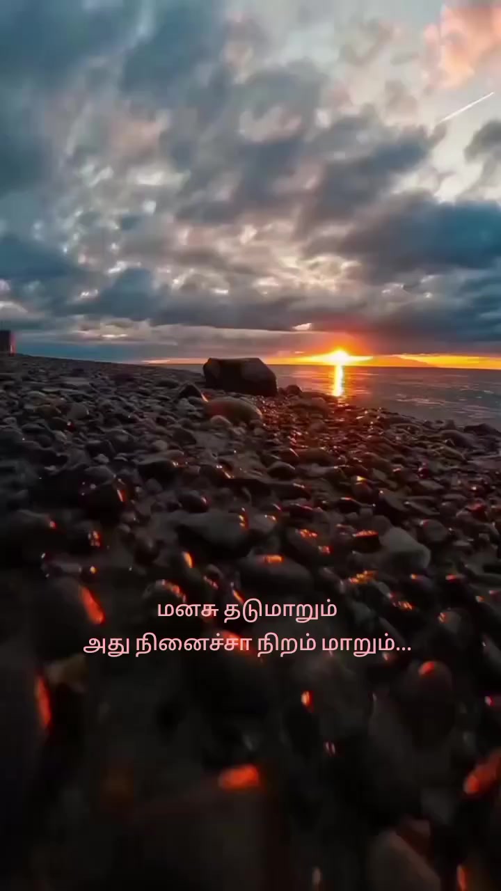 @Tamil Status 🇱🇰