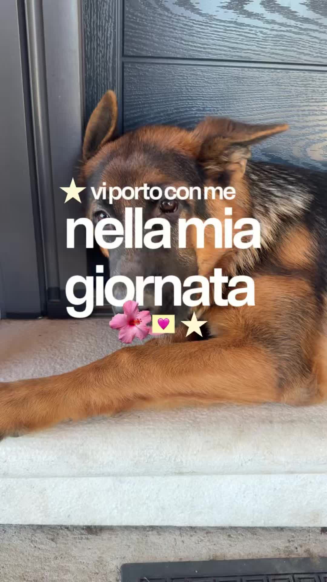 @siriazarro💋