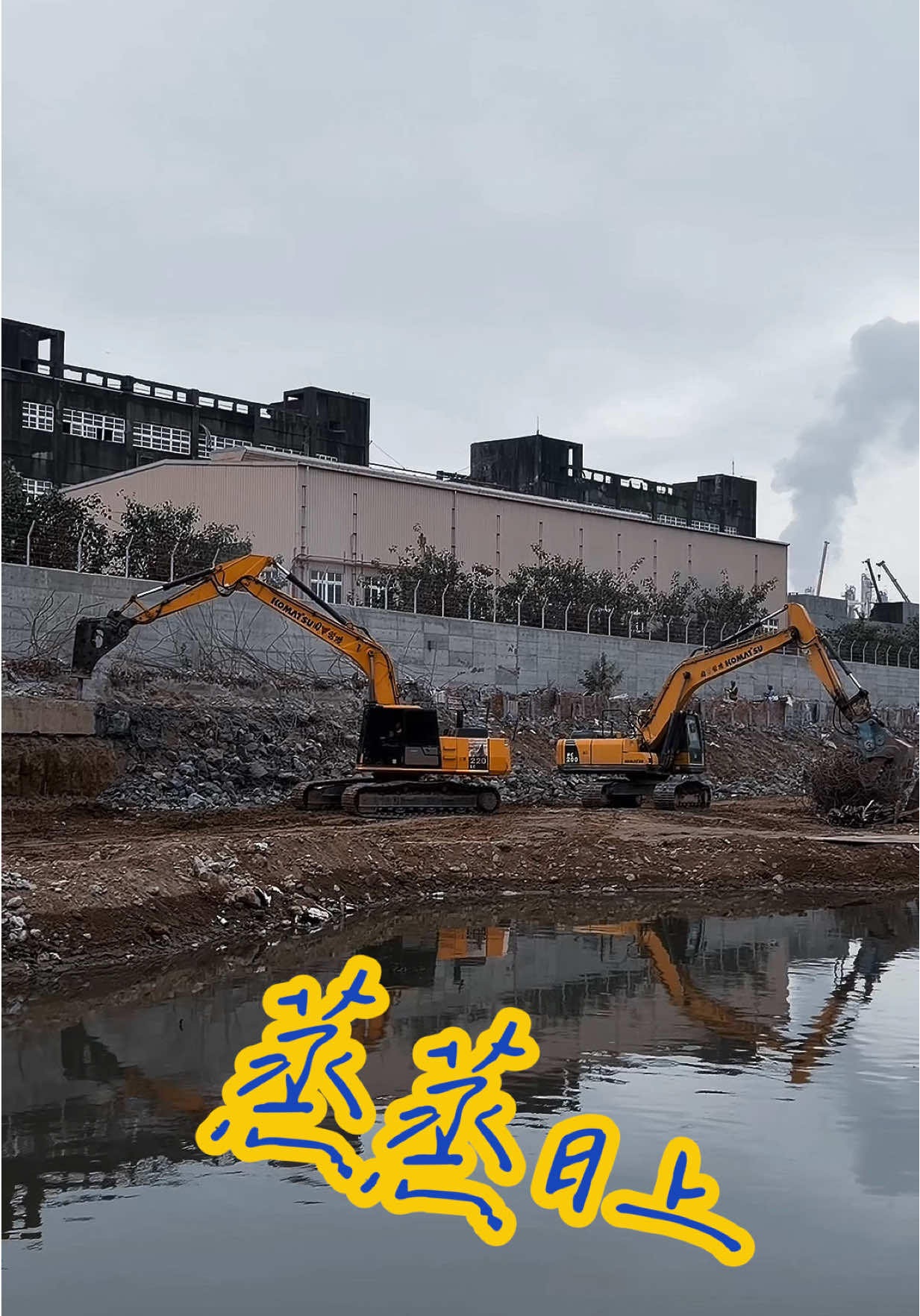 @麥坤🇹🇼