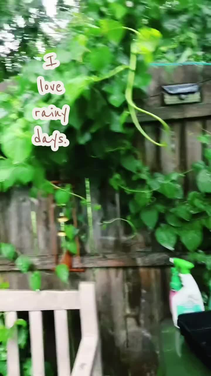 @silkyrose