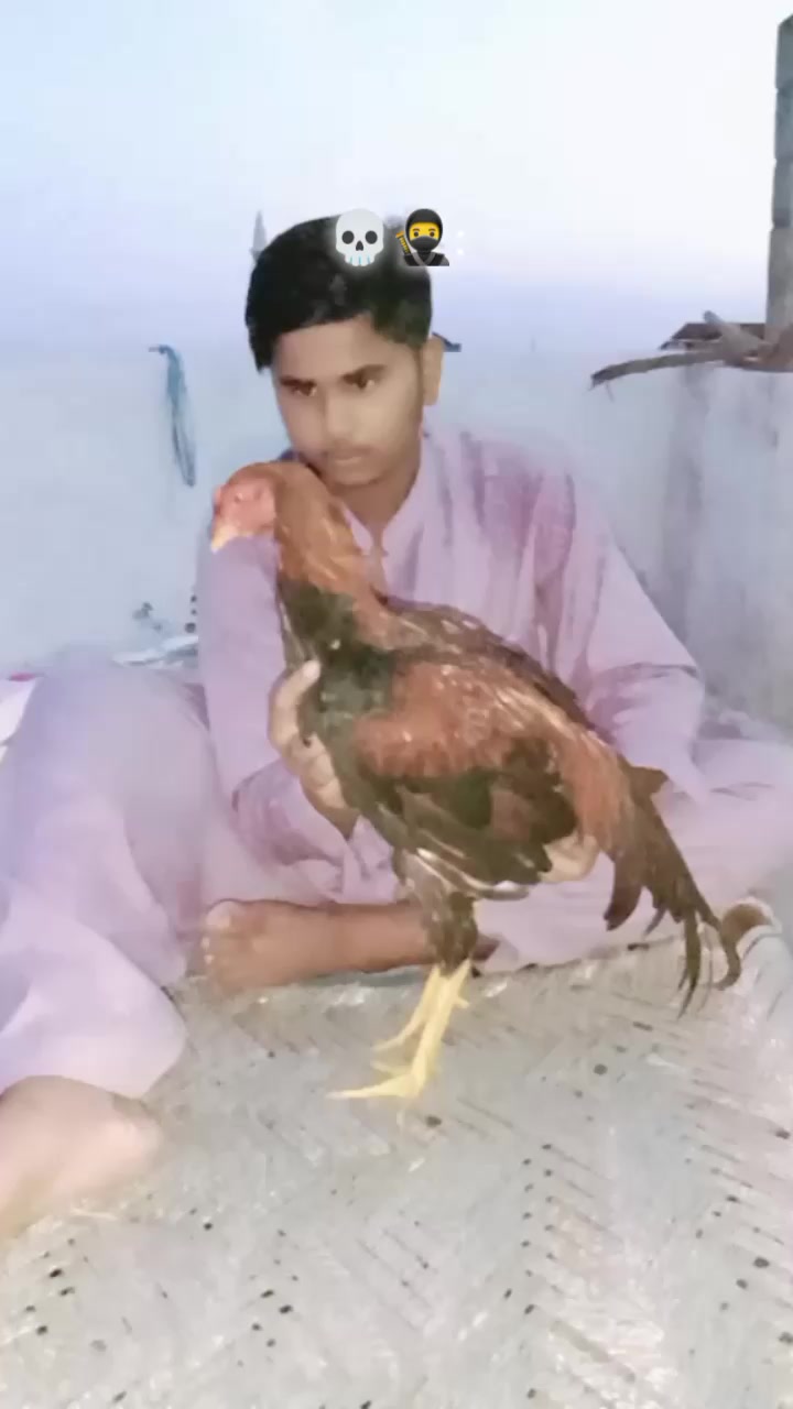 @Haziq Gujjar 🫀🙌