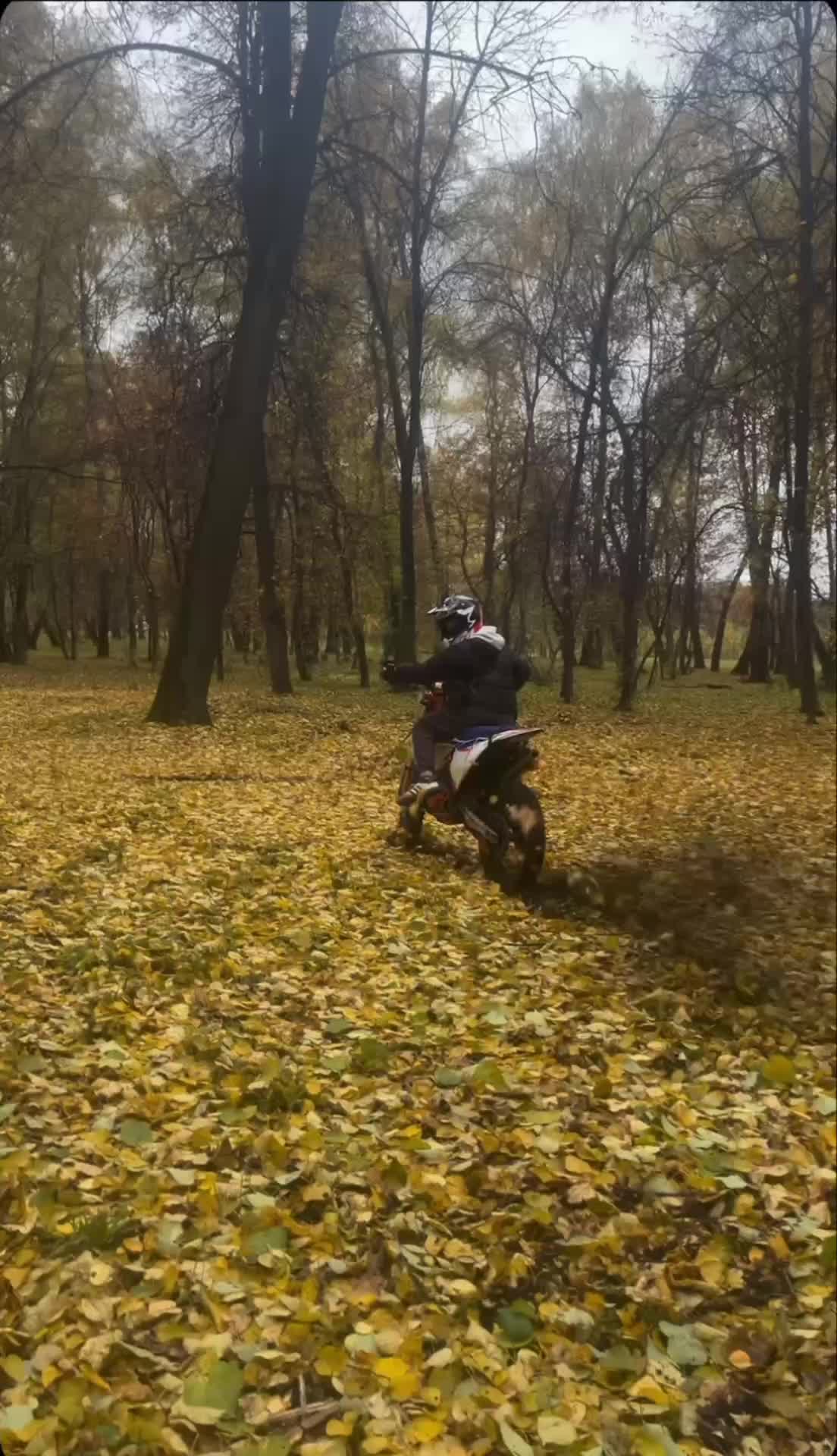 @Тот самый Atakivod71