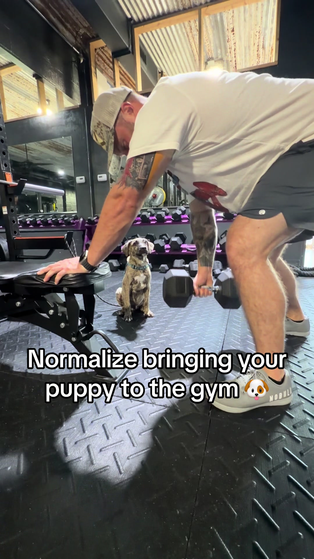 @brendonleslie