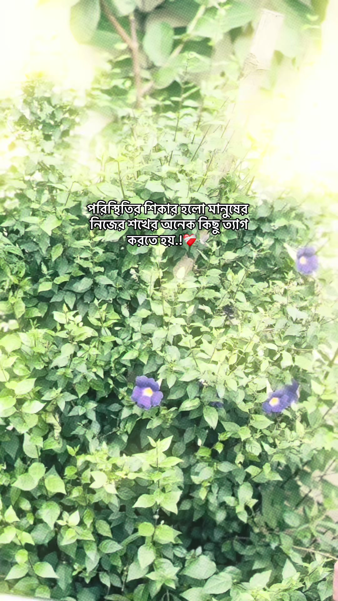 @โจ