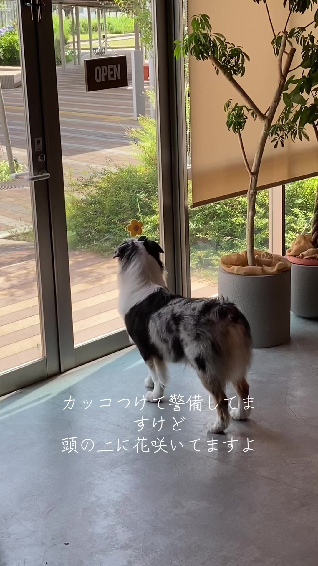 @サン&タマ
