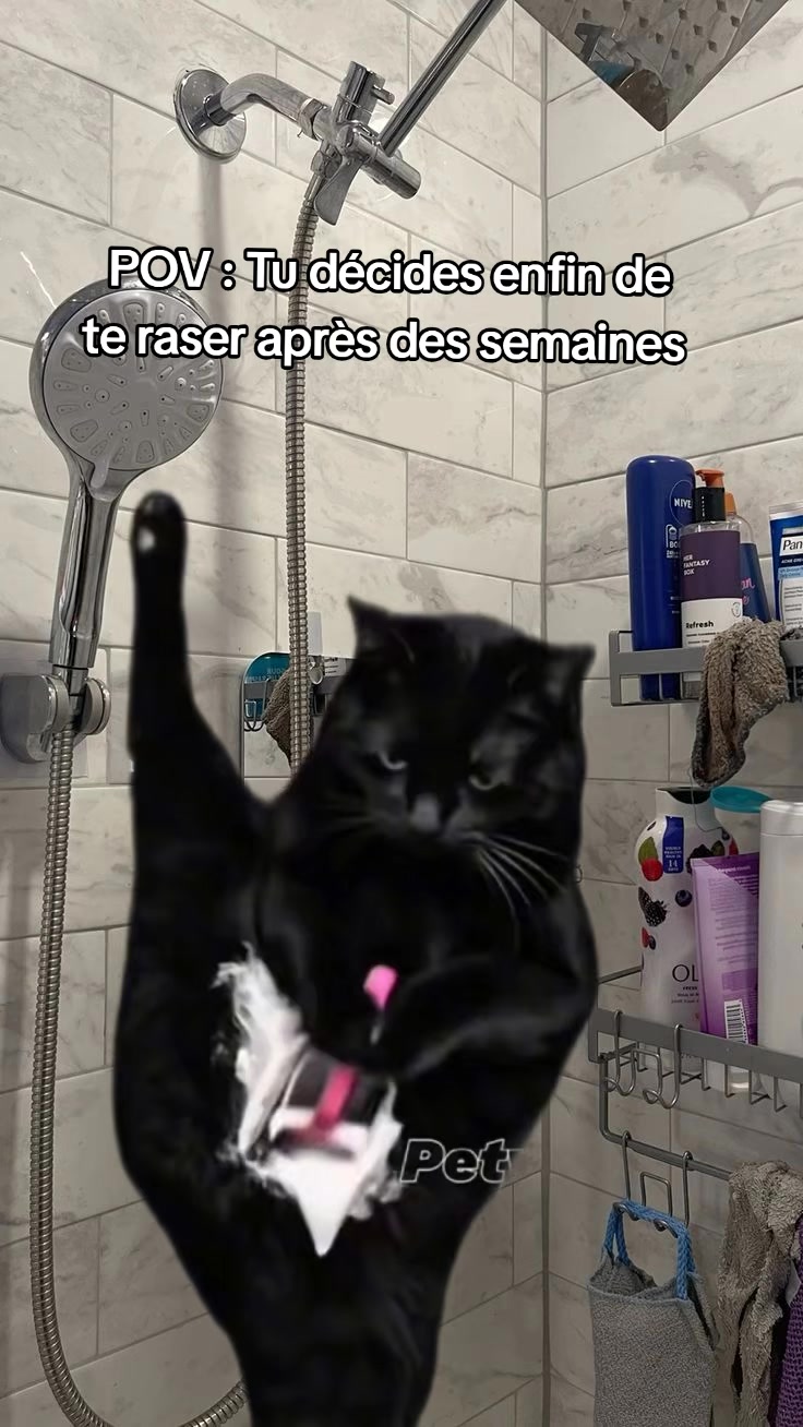 @𝕚𝕟𝕒𝕪𝕒_ 🤍