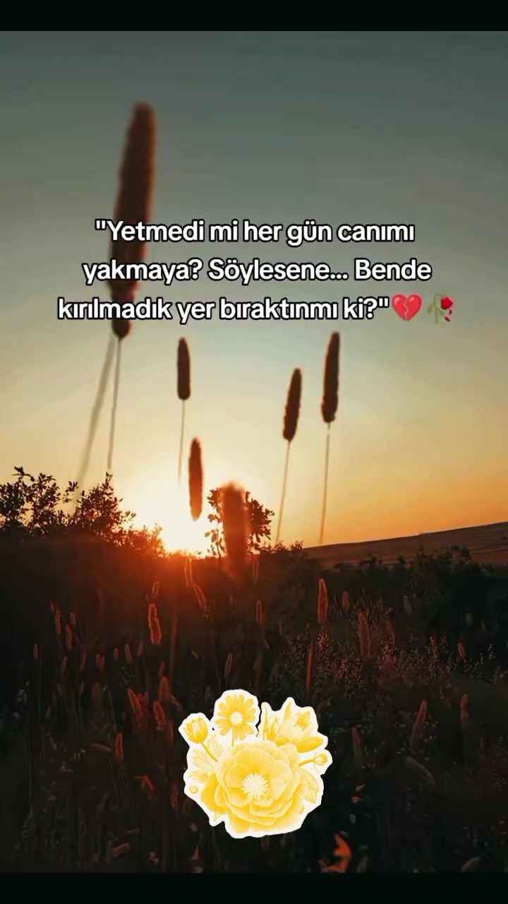 @mavig&ouml;l