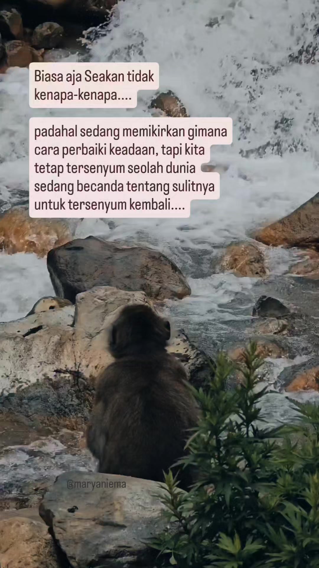 @mamih endut