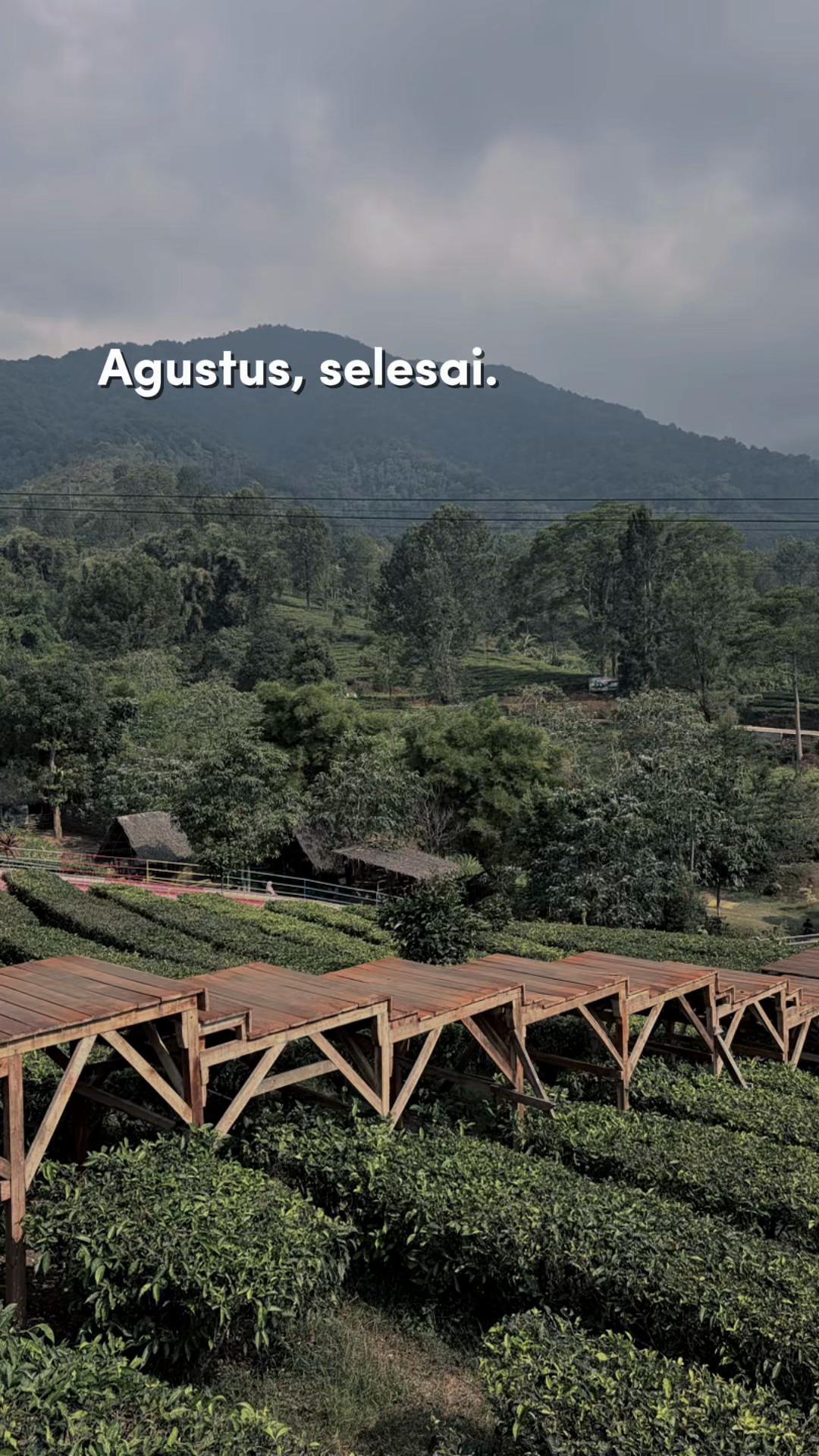@mawi