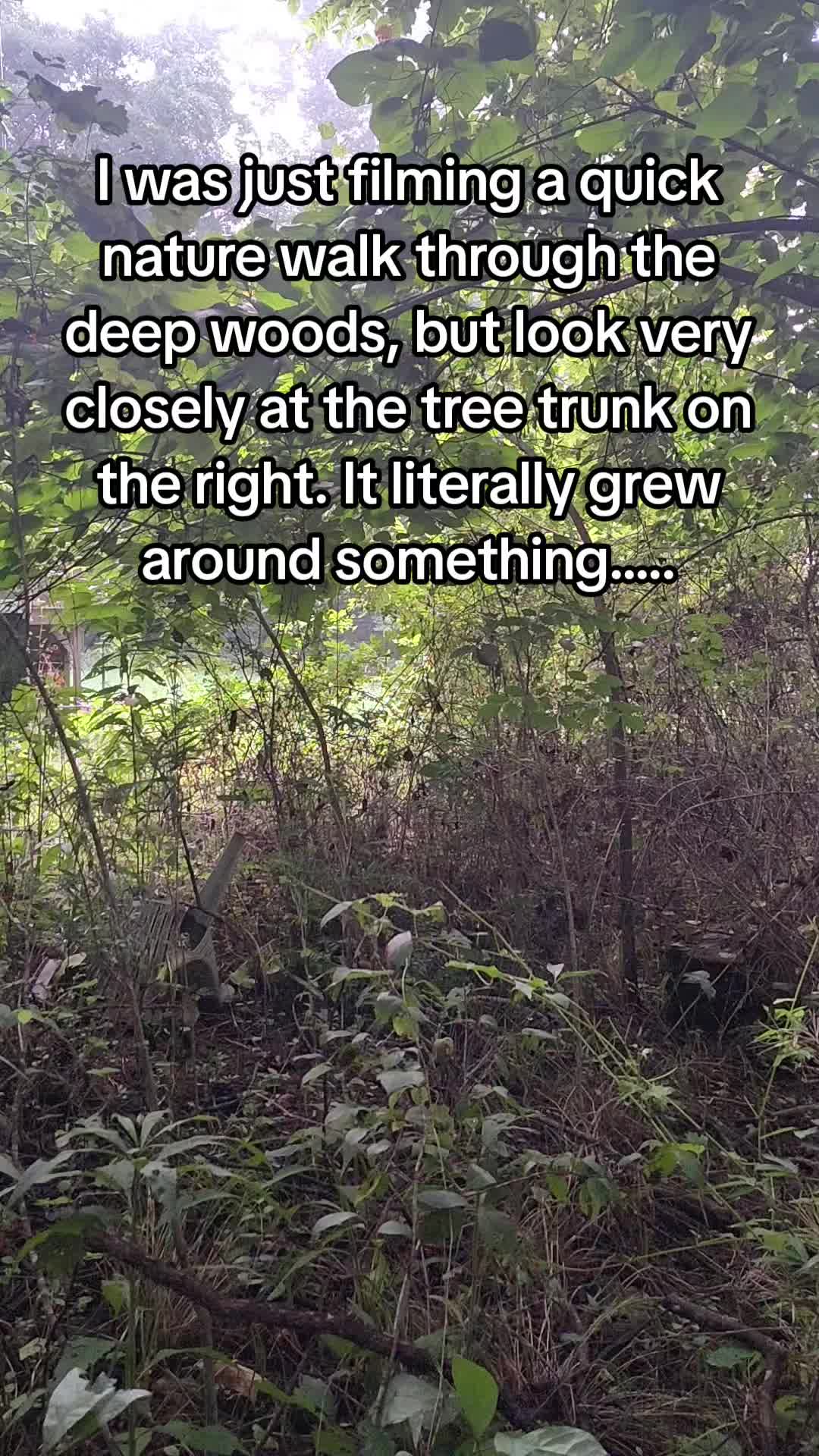 @Dustins Conspiracy