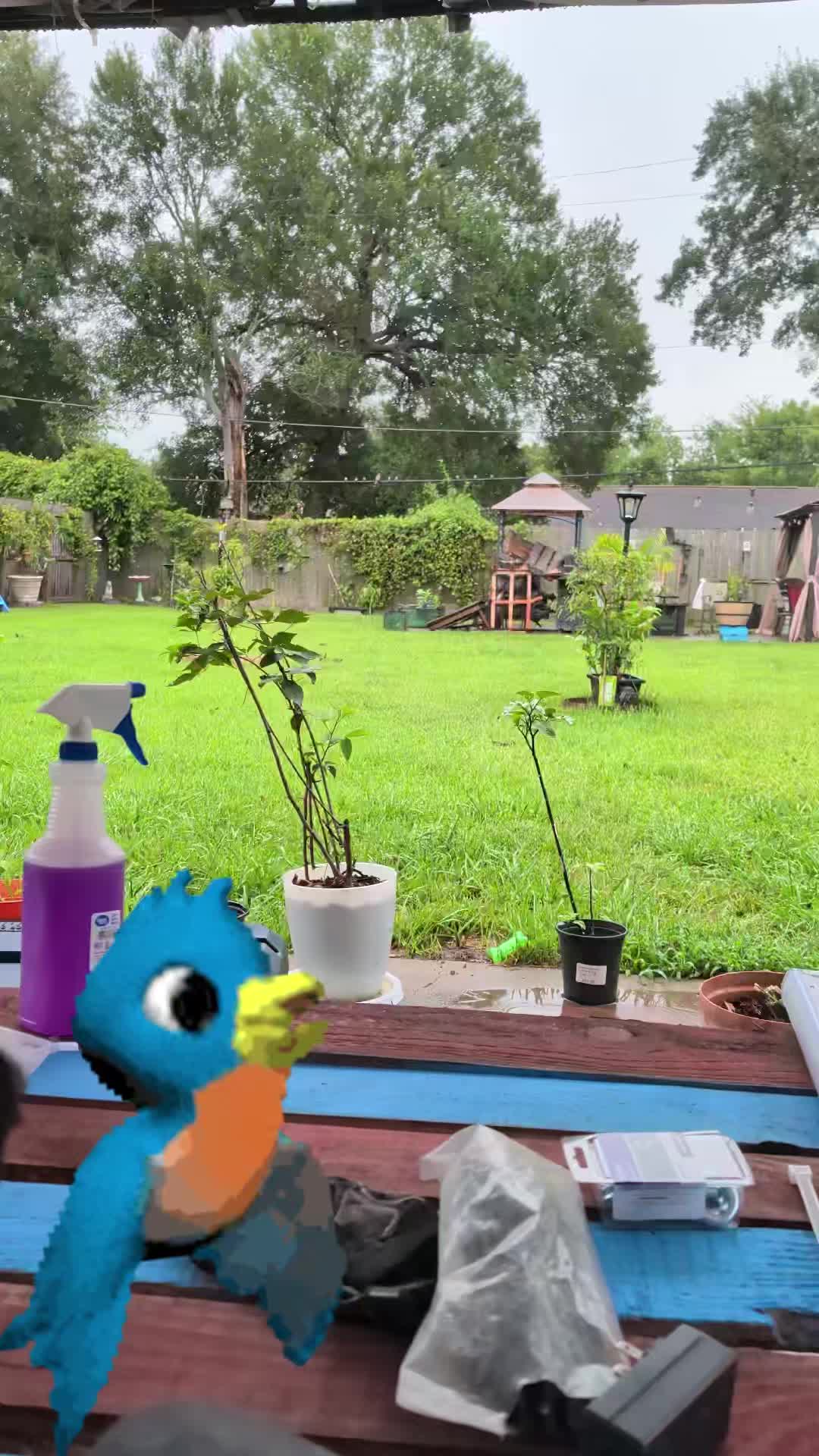 @Jplay