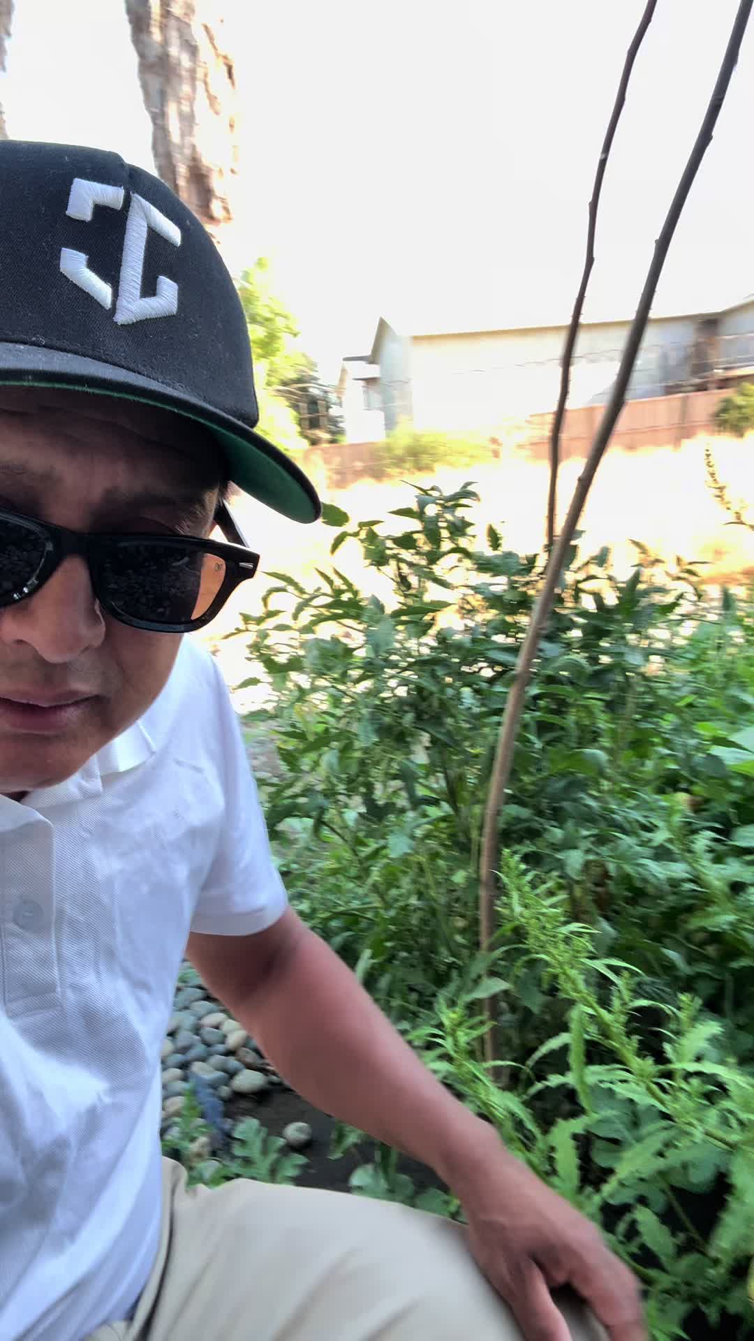 @🎤🎣chiquilin Martínez Vlog🍇