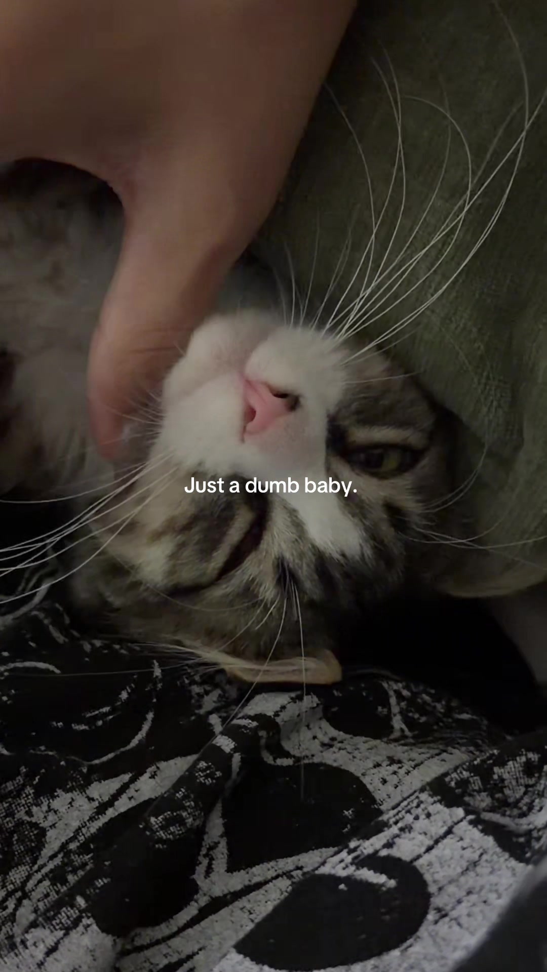 @JASMINE